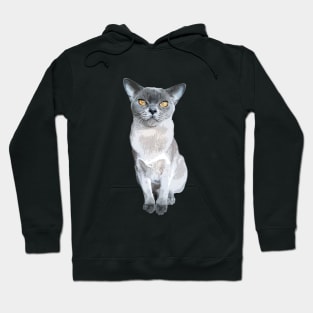 Burmese Cat Hoodie